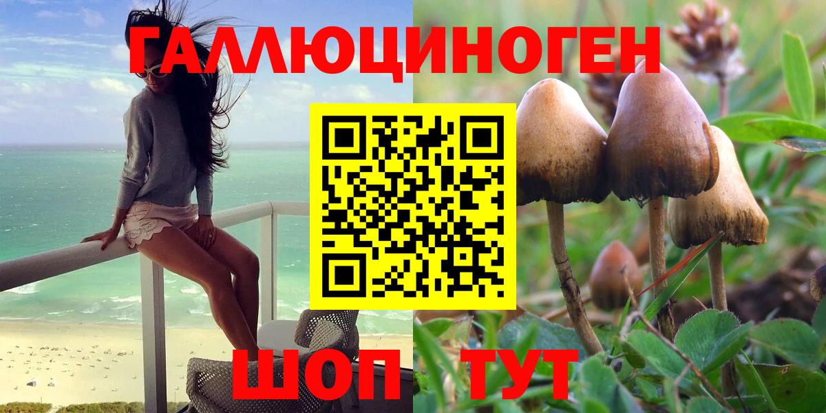 Галлюциногенные грибы мицелий  Вход с VPN  Ивантеевка 