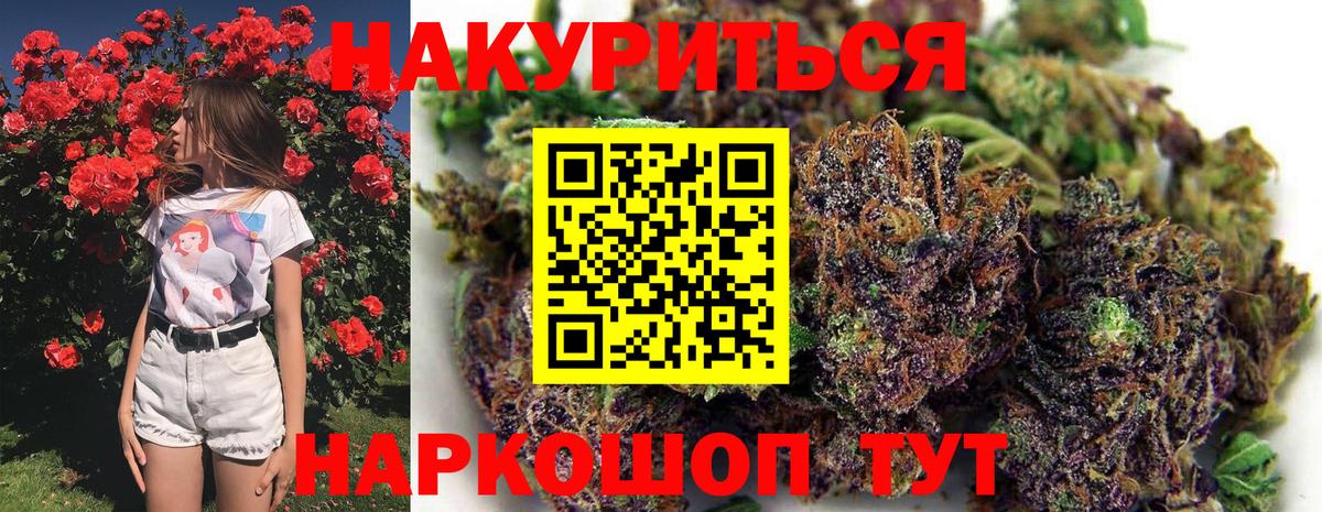 МАРИХУАНА сатива Ивантеевка